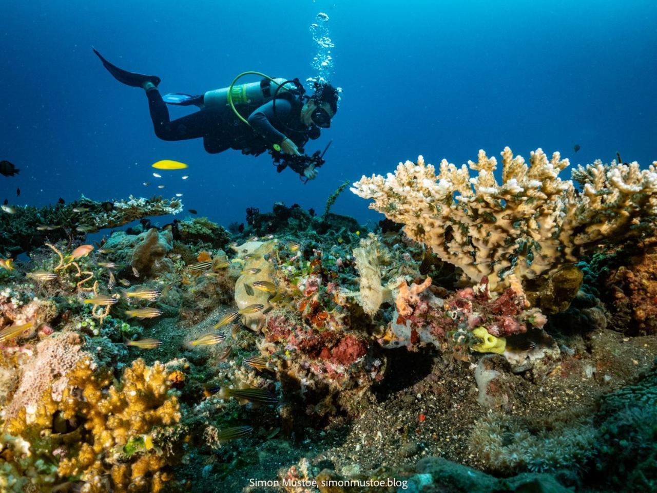 Teluk Karang Dive&Spa Resort Tejakula Luaran gambar